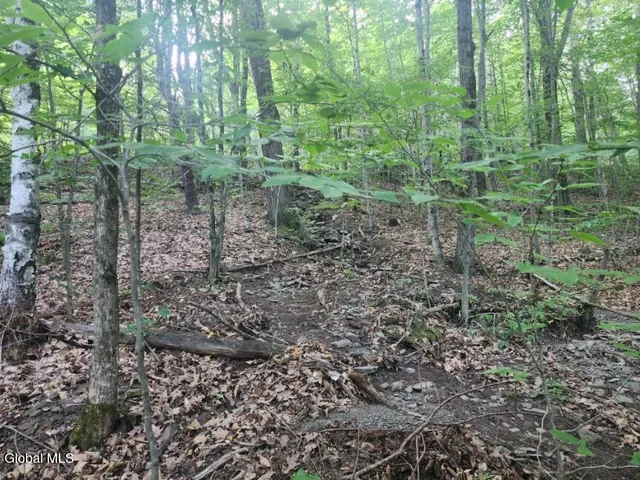 $36,000 | L11 Rebel Ridge Road, Jefferson, NY 12093