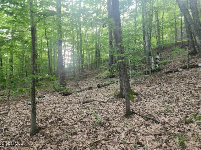 $36,000 | L11 Rebel Ridge Road, Jefferson, NY 12093