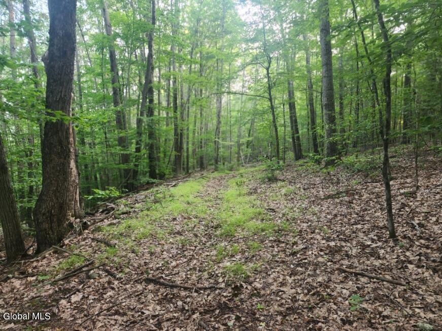 L11 Rebel Ridge Road Jefferson, NY 12093 - Photo 27 of 45 20250805_184934