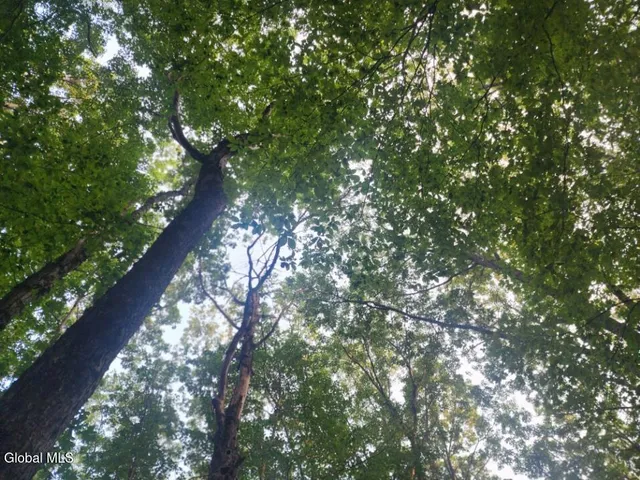 $36,000 | L11 Rebel Ridge Road, Jefferson, NY 12093