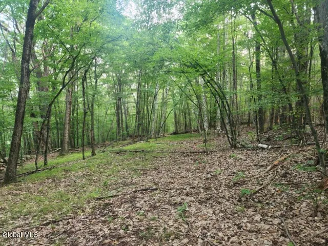 $36,000 | L11 Rebel Ridge Road, Jefferson, NY 12093