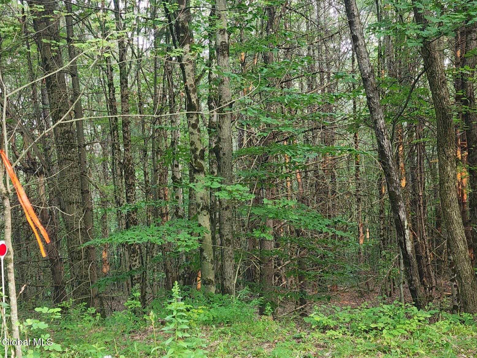 L11 Rebel Ridge Road Jefferson, NY 12093 - Photo 3 of 45 20250805_190521