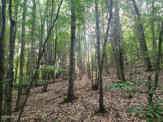 $36,000 | L11 Rebel Ridge Road, Jefferson, NY 12093