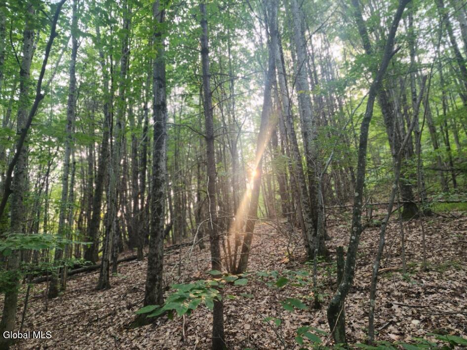 L11 Rebel Ridge Road Jefferson, NY 12093 - Photo 32 of 45 20250805_185257