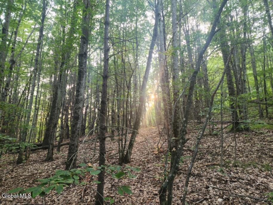 L11 Rebel Ridge Road Jefferson, NY 12093 - Photo 33 of 45 20250805_185303