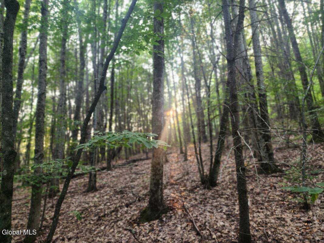 L11 Rebel Ridge Road Jefferson, NY 12093 - Photo 34 of 45 20250805_185314