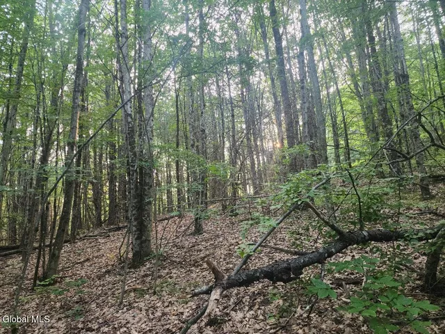 $36,000 | L11 Rebel Ridge Road, Jefferson, NY 12093