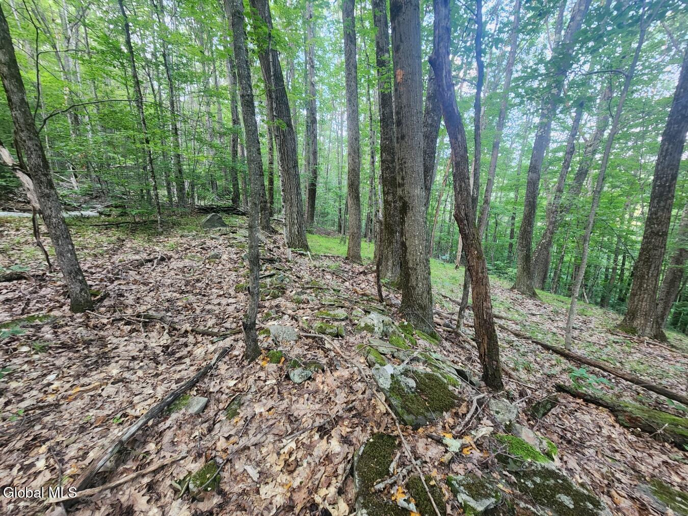 L11 Rebel Ridge Road Jefferson, NY 12093 - Photo 37 of 45 20250805_185526