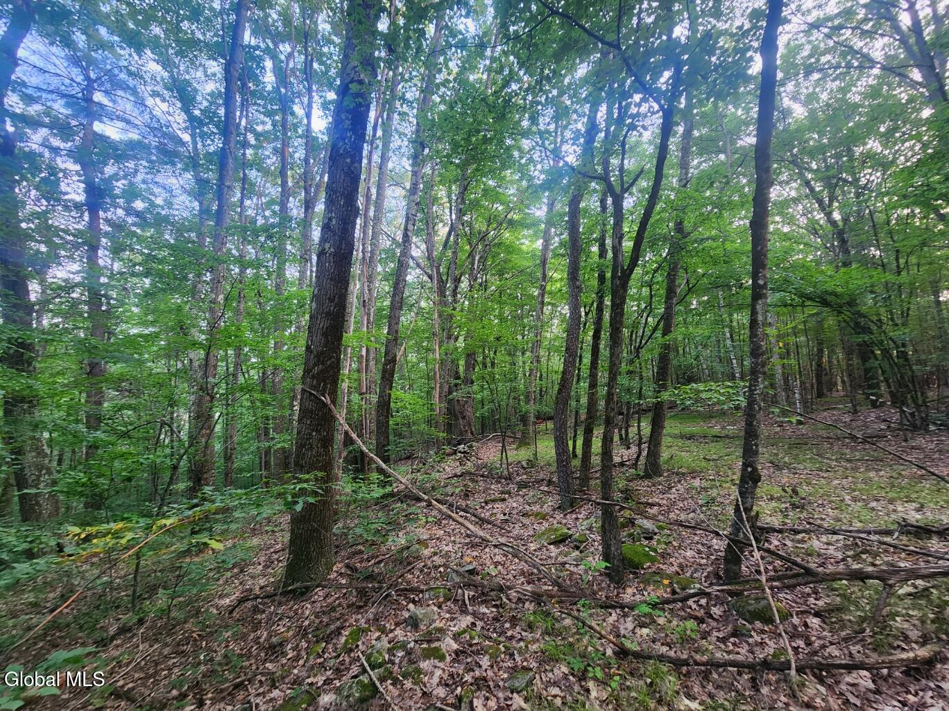 L11 Rebel Ridge Road Jefferson, NY 12093 - Photo 38 of 45 20250805_185534