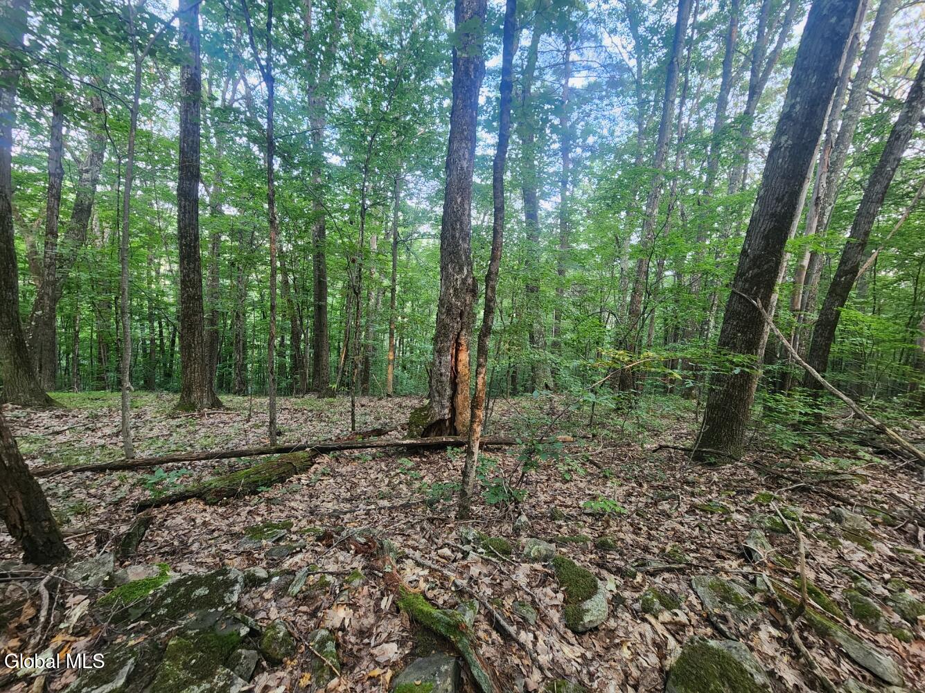 L11 Rebel Ridge Road Jefferson, NY 12093 - Photo 39 of 45 20250805_185540