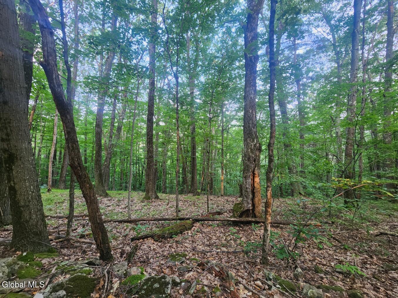 L11 Rebel Ridge Road Jefferson, NY 12093 - Photo 40 of 45 20250805_185542