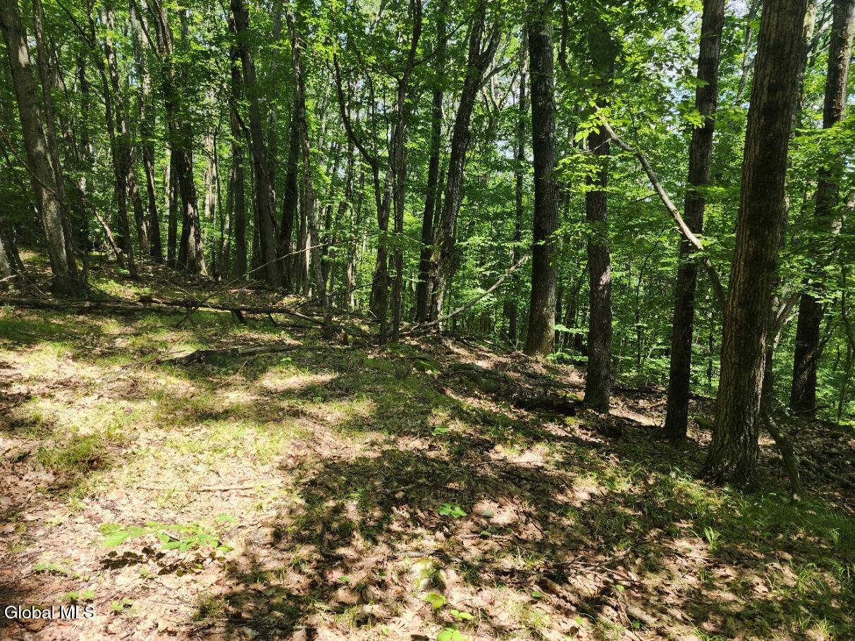 L11 Rebel Ridge Road Jefferson, NY 12093 - Photo 4 of 45 20250715_134941