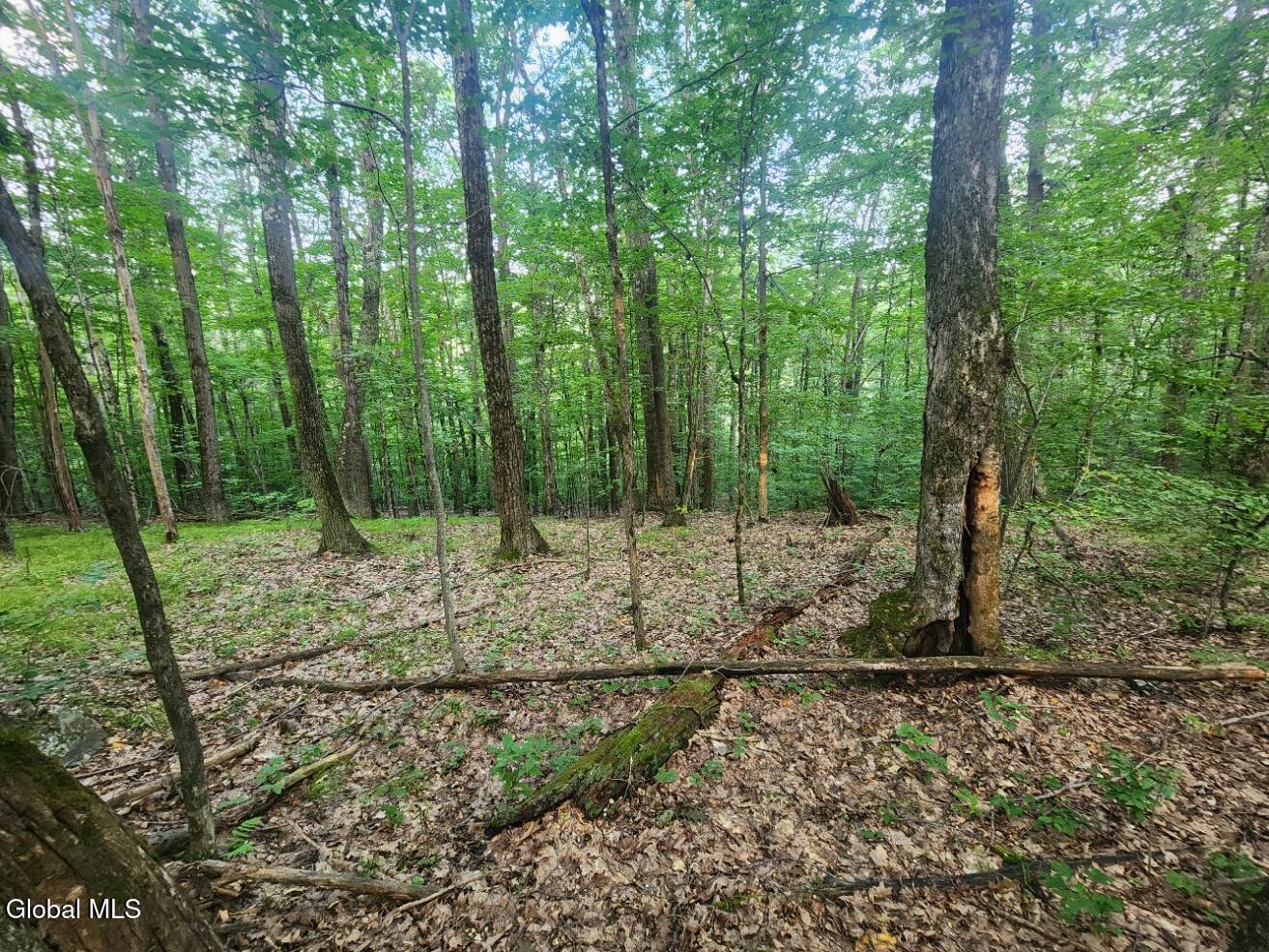 L11 Rebel Ridge Road Jefferson, NY 12093 - Photo 41 of 45 20250805_185550