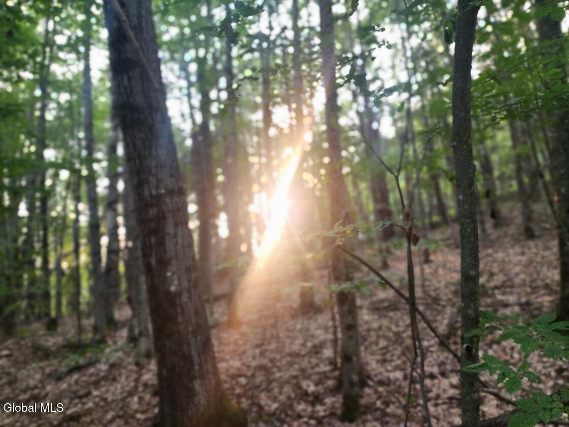 L11 Rebel Ridge Road Jefferson, NY 12093 - Photo 42 of 45 20250805_185325