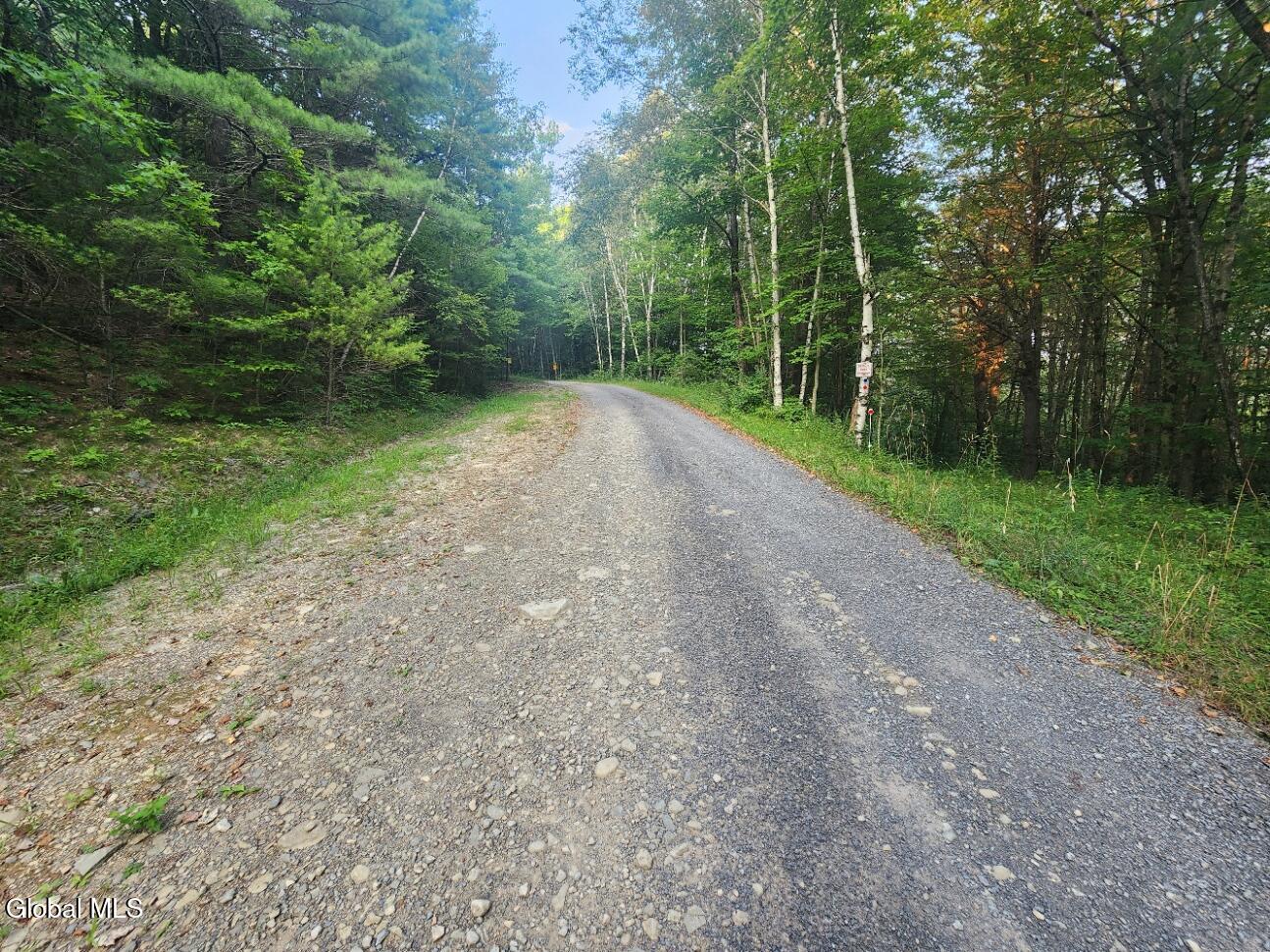 L11 Rebel Ridge Road Jefferson, NY 12093 - Photo 44 of 45 20250805_184114