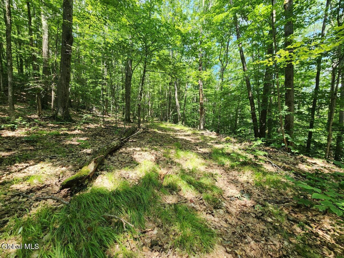 L11 Rebel Ridge Road Jefferson, NY 12093 - Photo 5 of 45 20250715_135327