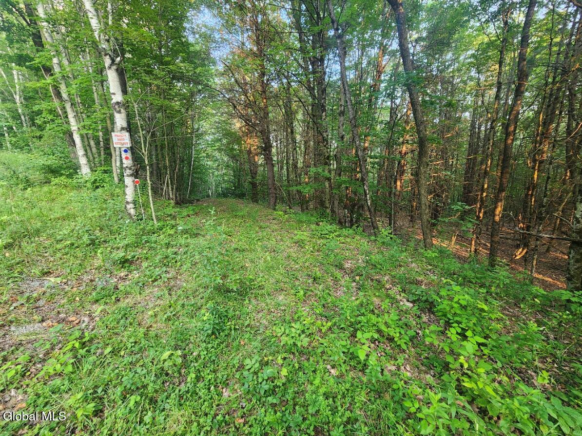 L11 Rebel Ridge Road Jefferson, NY 12093 - Photo 6 of 45 20250805_184124