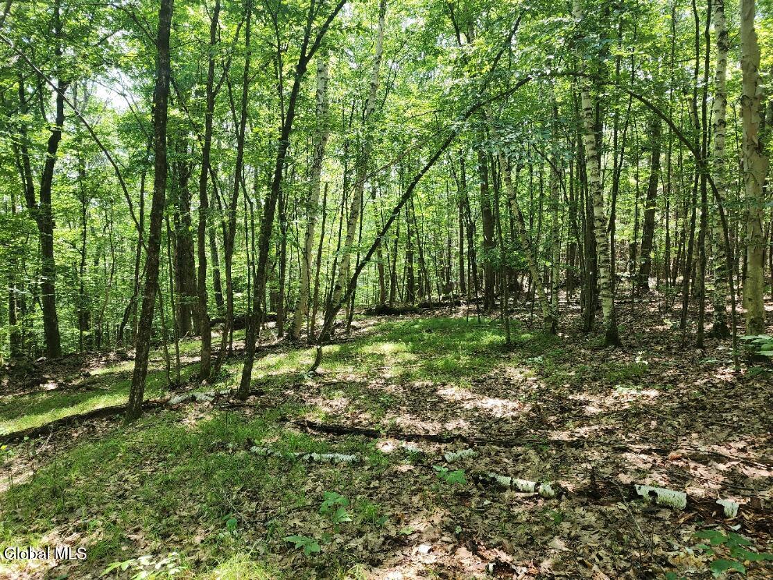 L11 Rebel Ridge Road Jefferson, NY 12093 - Photo 7 of 45 20250715_134949