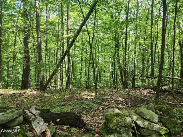 $36,000 | L11 Rebel Ridge Road, Jefferson, NY 12093