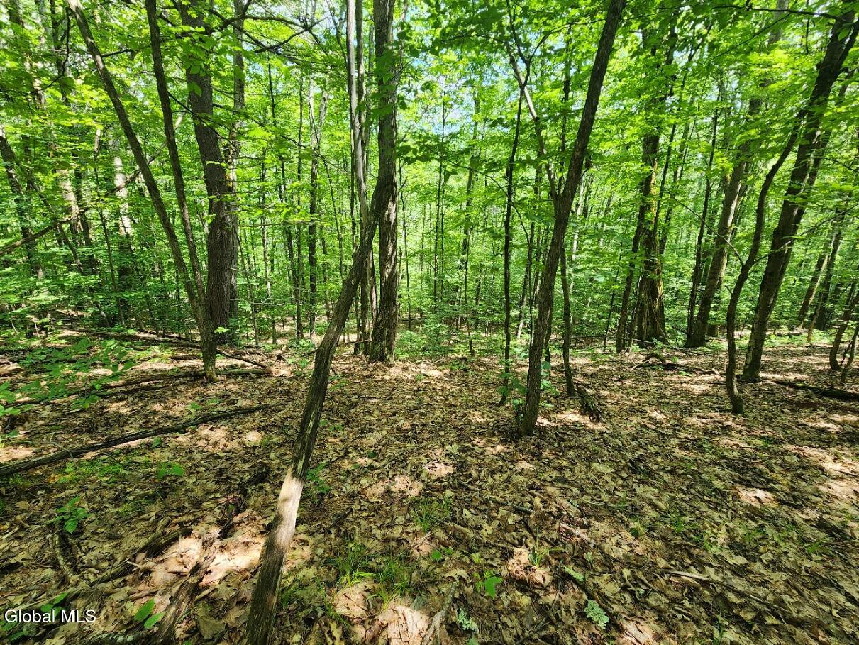 L11 Rebel Ridge Road Jefferson, NY 12093 - Photo 9 of 45 20250715_135026