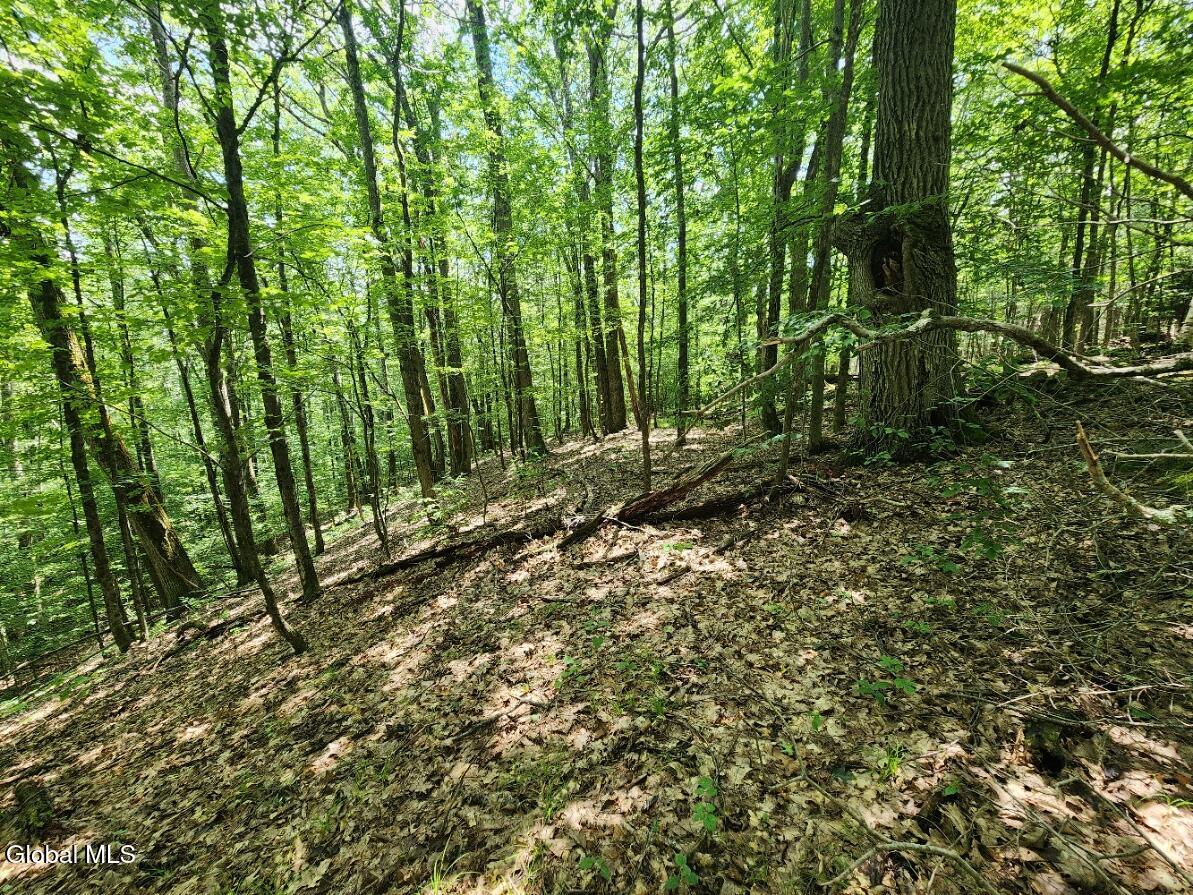 L11 Rebel Ridge Road Jefferson, NY 12093 - Photo 10 of 45 20250715_135028