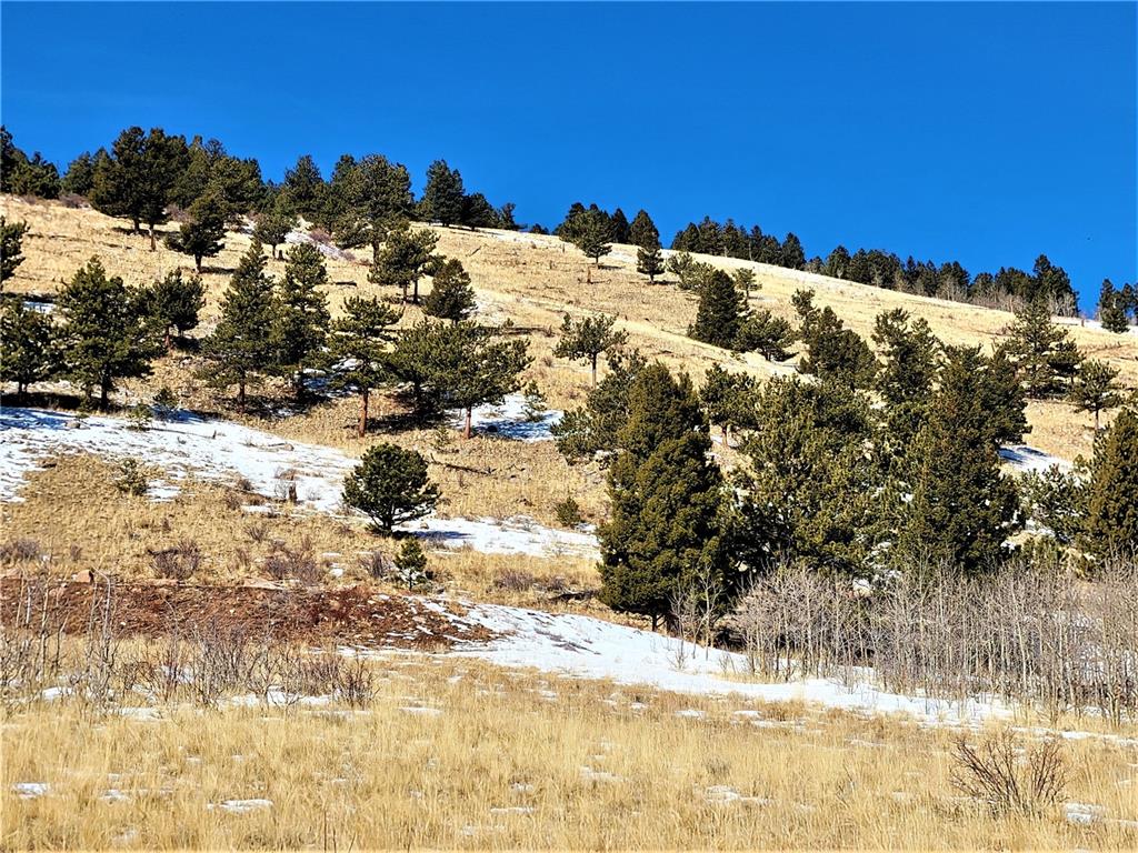 3767 Redhill Road Fairplay, CO 80440 - Photo 11 of 33 Gallery Image 11