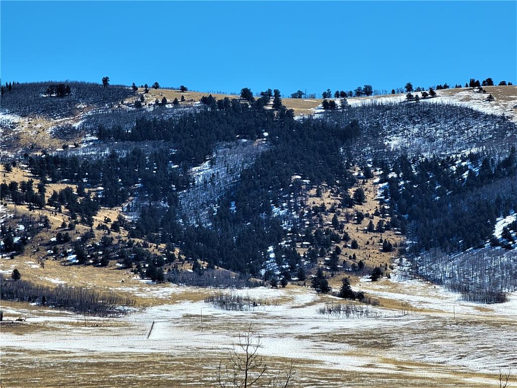 3767 Redhill Road Fairplay, CO 80440 - Photo 12 of 33 Gallery Image 12