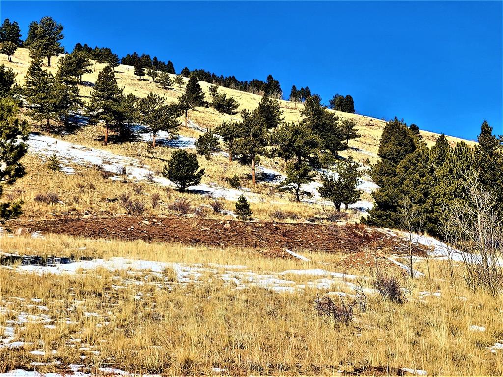 3767 Redhill Road Fairplay, CO 80440 - Photo 13 of 33 Gallery Image 13