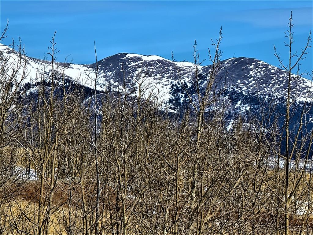 3767 Redhill Road Fairplay, CO 80440 - Photo 14 of 33 Gallery Image 14