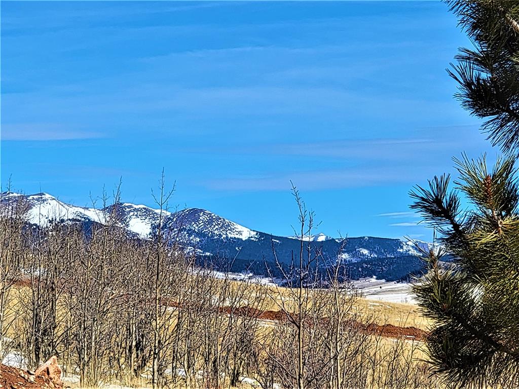 3767 Redhill Road Fairplay, CO 80440 - Photo 15 of 33 Gallery Image 15