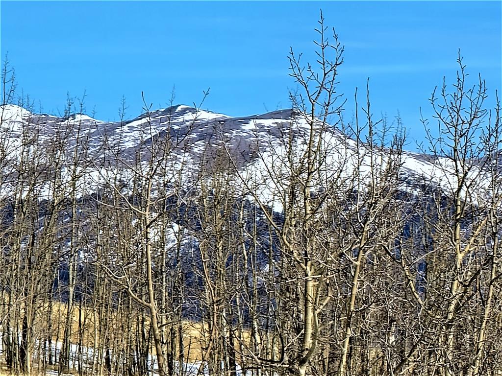 3767 Redhill Road Fairplay, CO 80440 - Photo 17 of 33 Gallery Image 17
