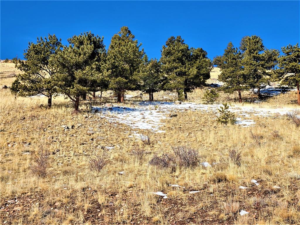 3767 Redhill Road Fairplay, CO 80440 - Photo 19 of 33 Gallery Image 19
