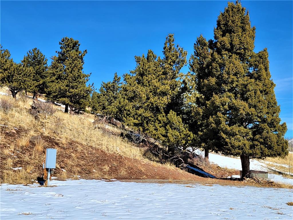 3767 Redhill Road Fairplay, CO 80440 - Photo 20 of 33 Gallery Image 20