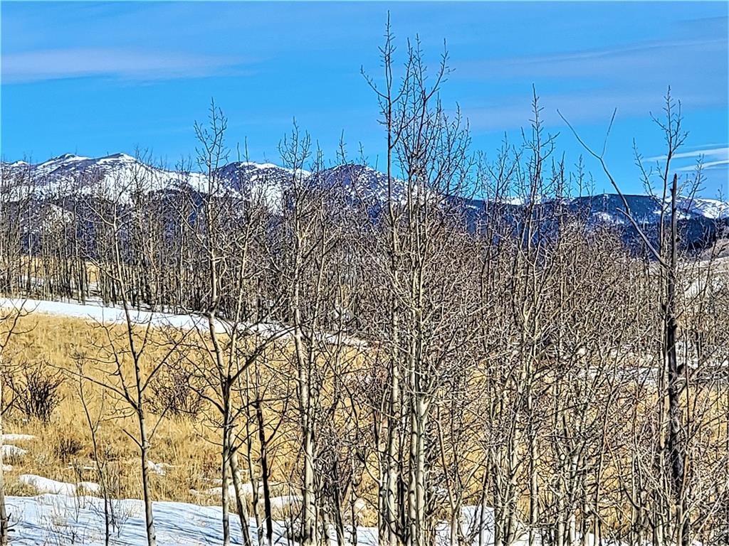3767 Redhill Road Fairplay, CO 80440 - Photo 21 of 33 Gallery Image 21