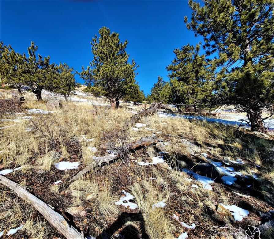3767 Redhill Road Fairplay, CO 80440 - Photo 26 of 33 Gallery Image 26