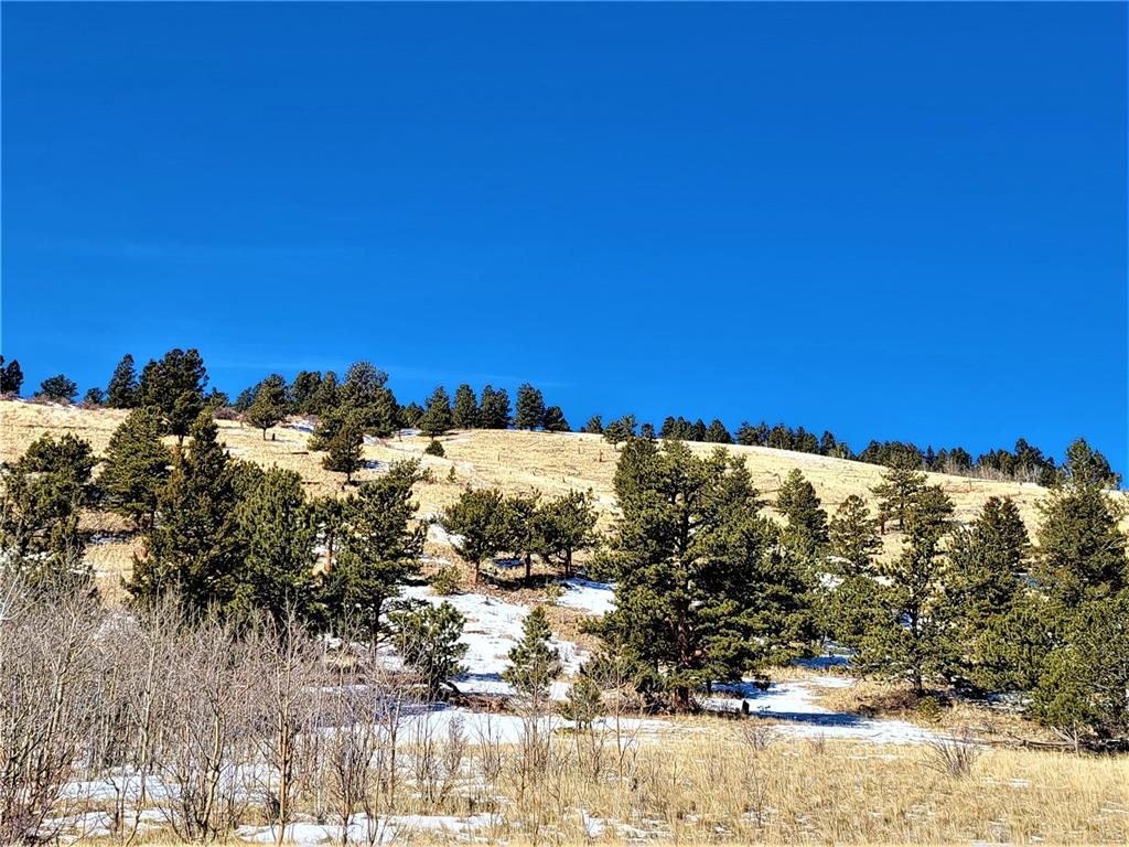 3767 Redhill Road Fairplay, CO 80440 - Photo 28 of 33 Gallery Image 28