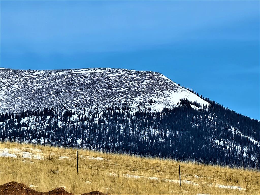 3767 Redhill Road Fairplay, CO 80440 - Photo 3 of 33 Gallery Image 3