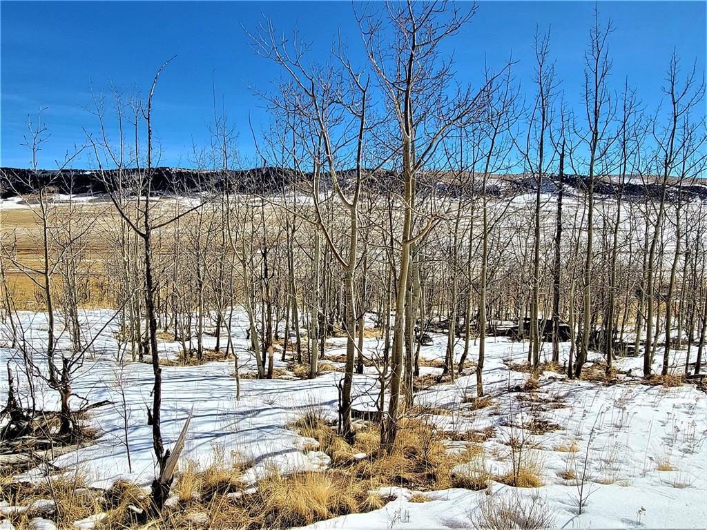 3767 Redhill Road Fairplay, CO 80440 - Photo 32 of 33 Gallery Image 32