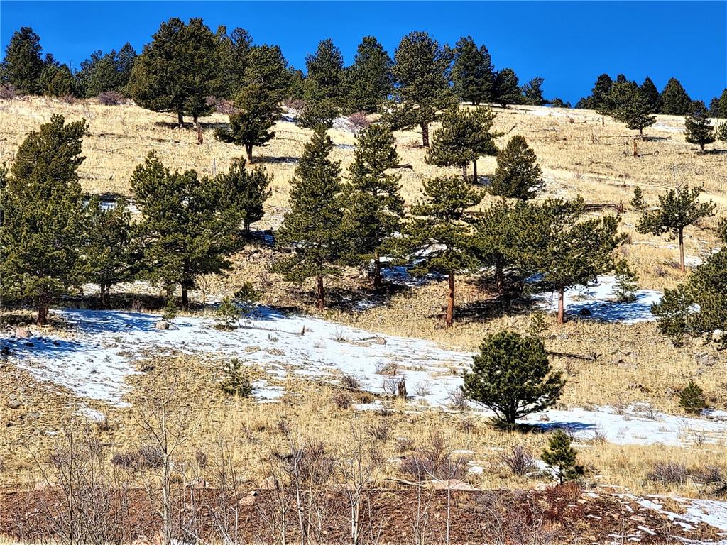3767 Redhill Road Fairplay, CO 80440 - Photo 5 of 33 Gallery Image 5