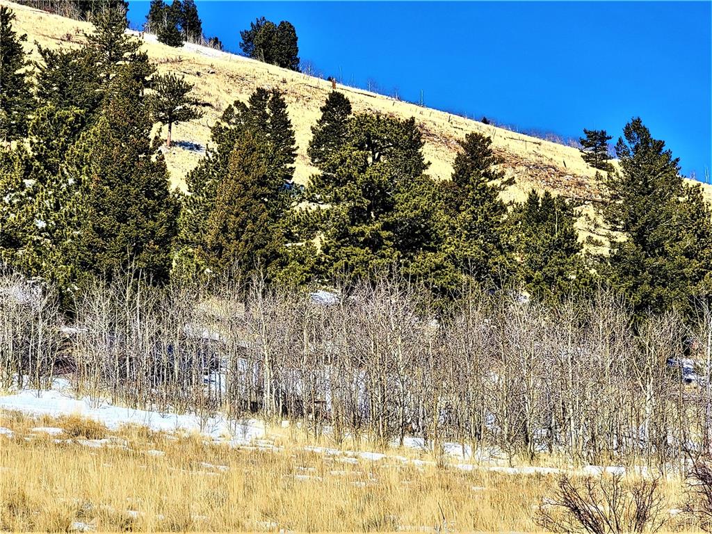 3767 Redhill Road Fairplay, CO 80440 - Photo 6 of 33 Gallery Image 6