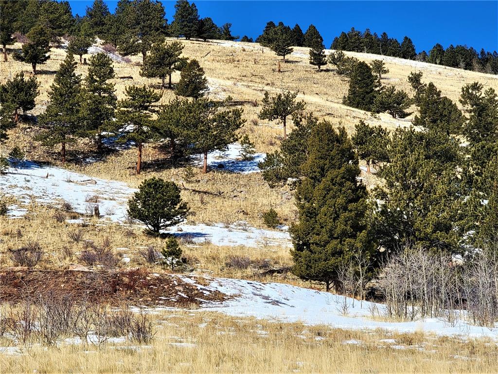 3767 Redhill Road Fairplay, CO 80440 - Photo 9 of 33 Gallery Image 9