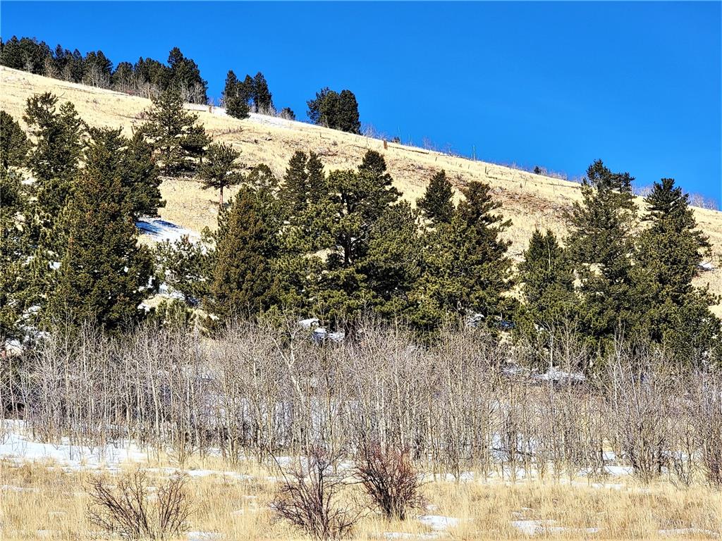 3767 Redhill Road Fairplay, CO 80440 - Photo 10 of 33 Gallery Image 10
