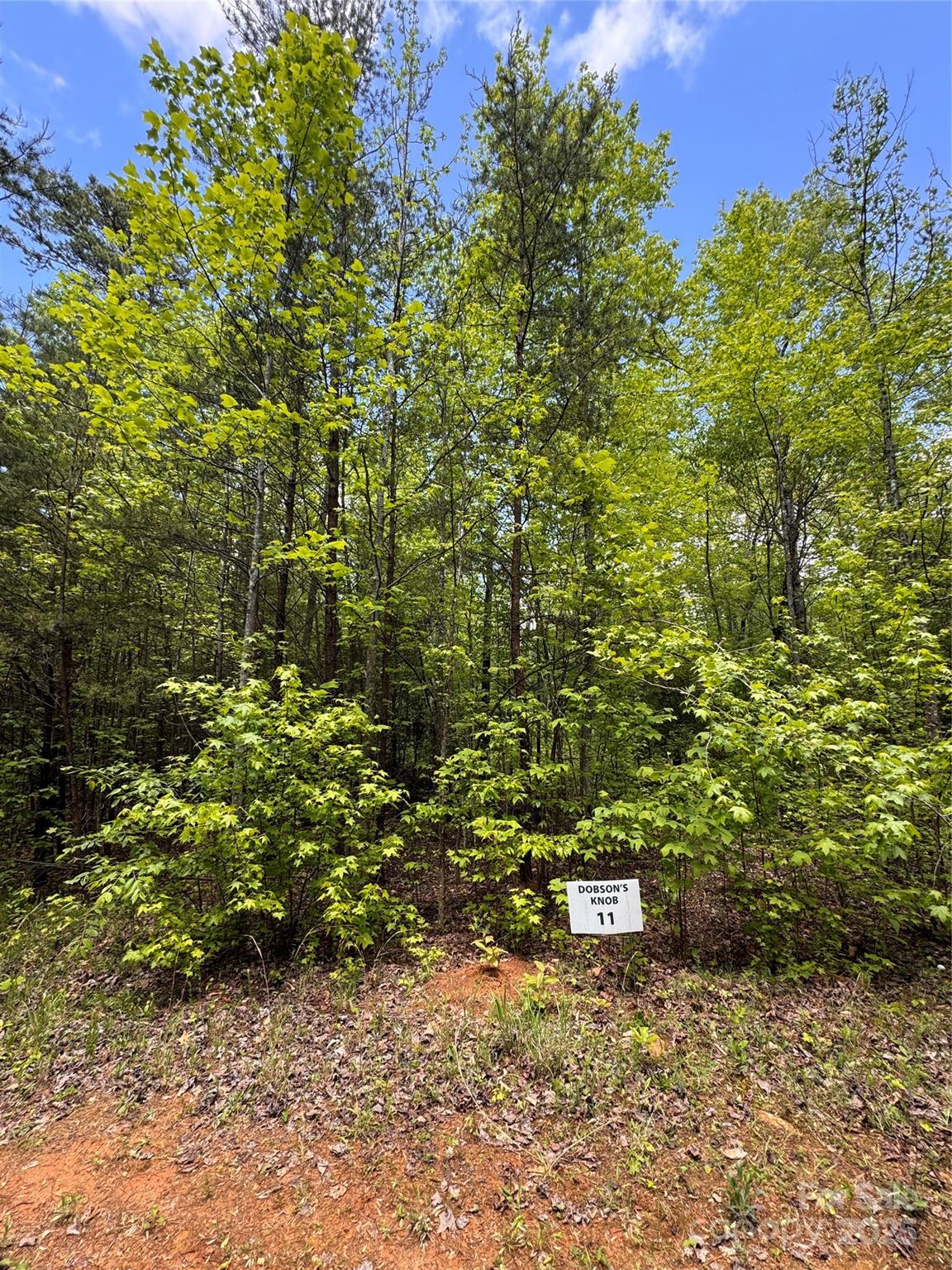 115 Hailees Drive Marion, NC 28752 - Photo 2 of 5