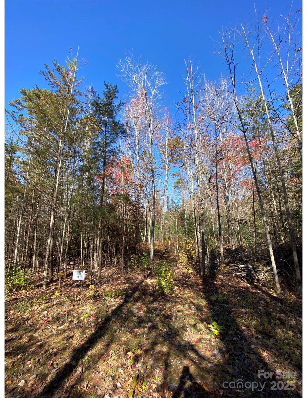 115 Hailees Drive Marion, NC 28752 - Photo 3 of 5