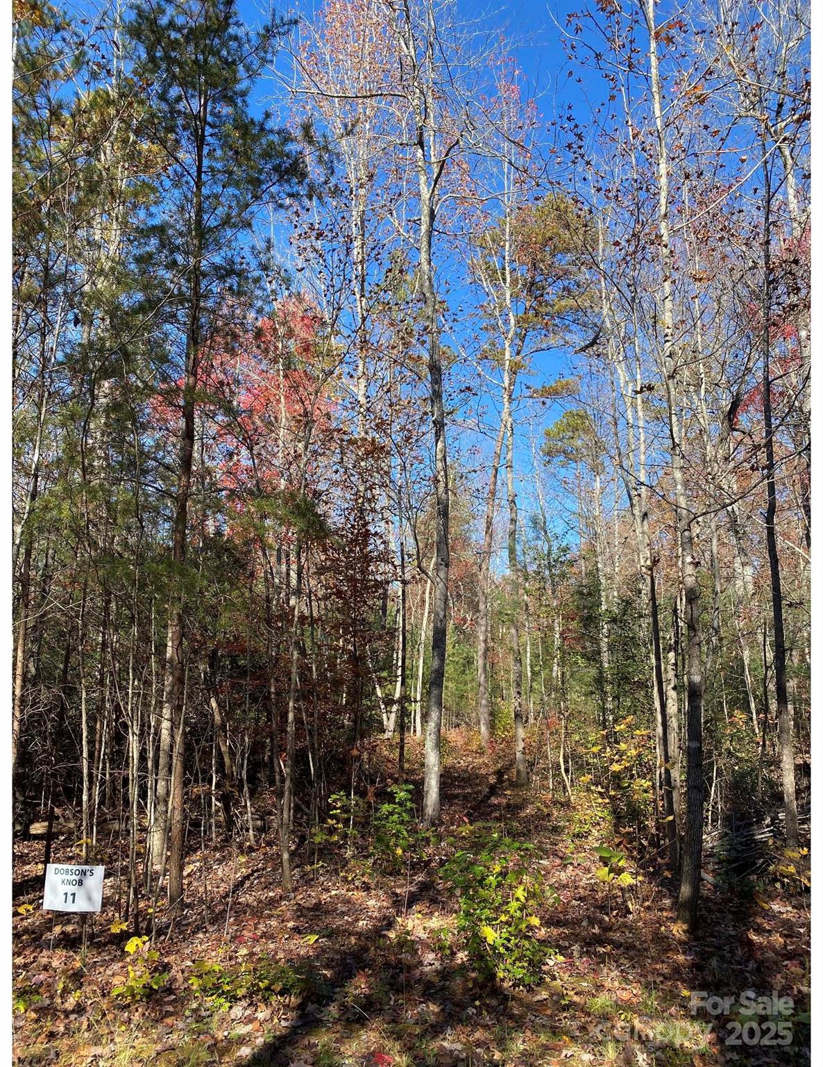 115 Hailees Drive Marion, NC 28752 - Photo 4 of 5