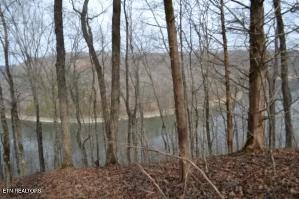 $125,000 | 6.49-ac Garrett Town Lane, Monroe, TN 38573
