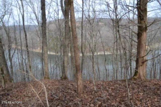 $349,900 | 6.49-ac Garrett Town Lane, Monroe, TN 38573