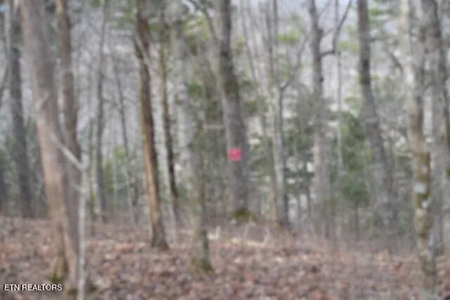 $349,900 | 6.49-ac Garrett Town Lane, Monroe, TN 38573