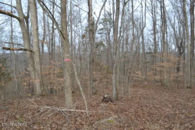 $349,900 | 6.49-ac Garrett Town Lane, Monroe, TN 38573