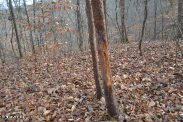 $349,900 | 6.49-ac Garrett Town Lane, Monroe, TN 38573